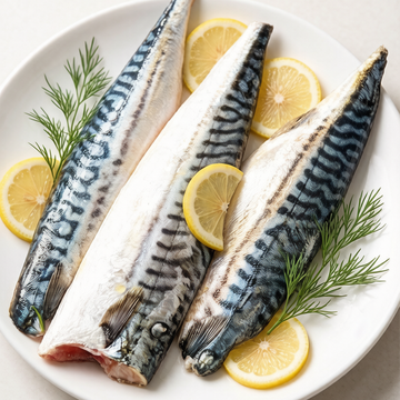 Mackerel